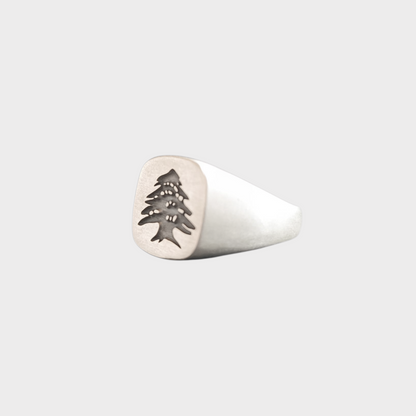 Cedar Heritage Signet Ring